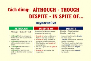Phân biệt cách dùng Although, Despite, In spite of, Though, Even though và bài tập